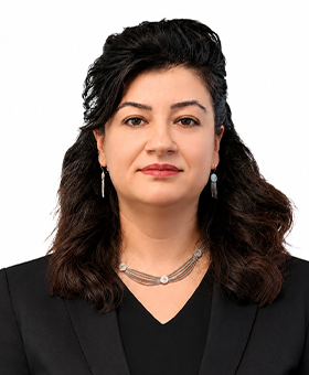 media/uploads/images/Akademik-Kadro/Yagmur-ARIKAN-YILDIZ/08072026/Yagmur-Arikan-Biyometrik.png